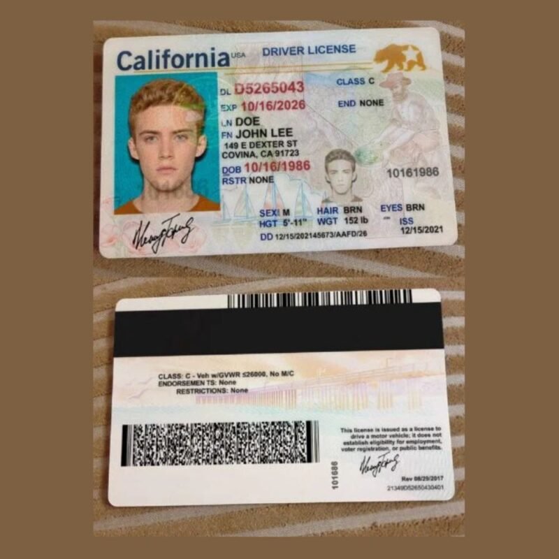 driver license